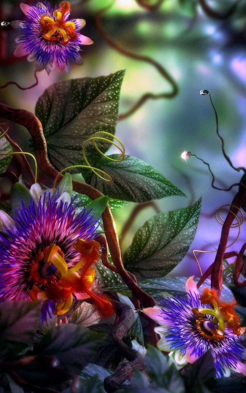 3D Flowers Wallpaper iPhone 8 resolution 800x1280