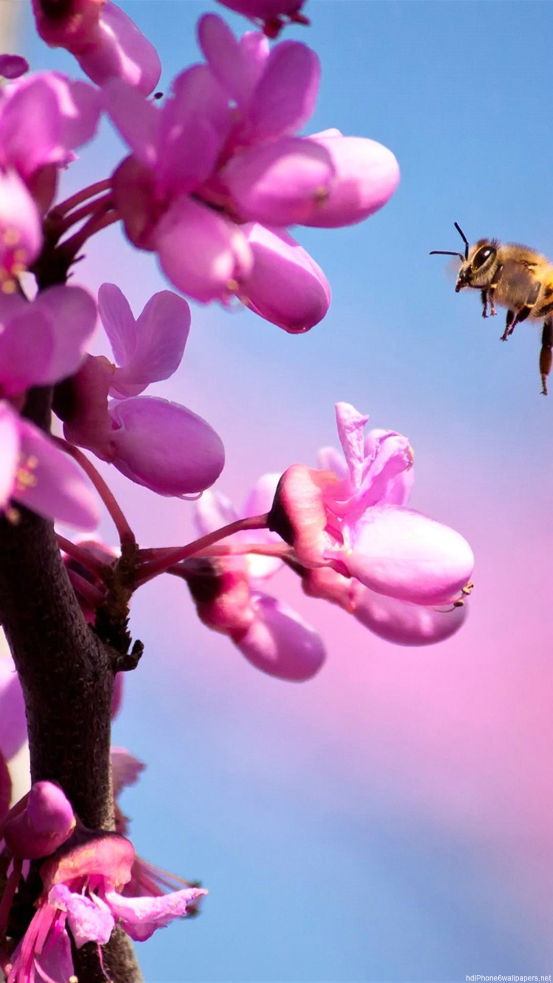 Pink Flower iPhone Wallpaper resolution 1080x1920