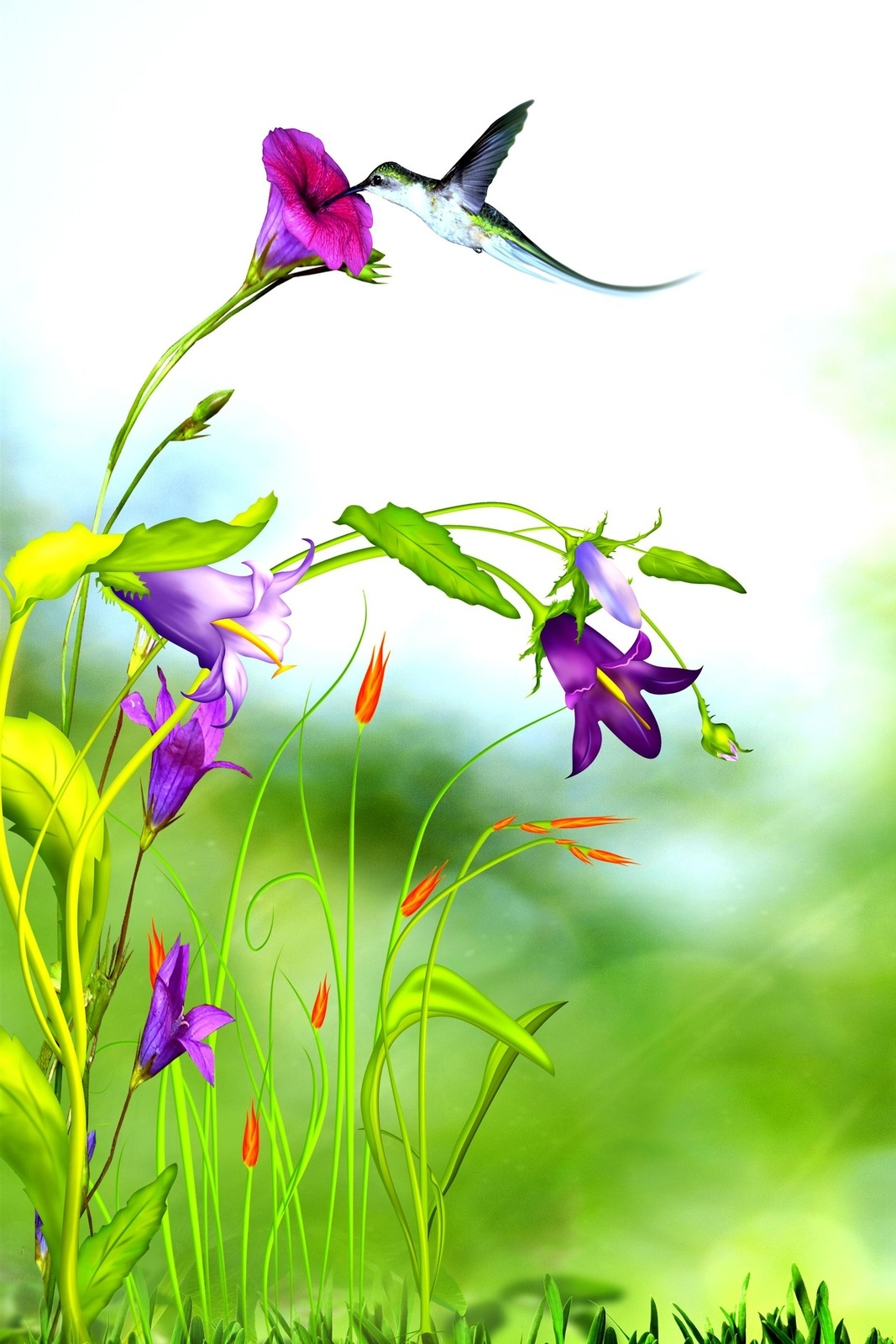 iPhone Wallpaper Purple Flower resolution 1067x1600