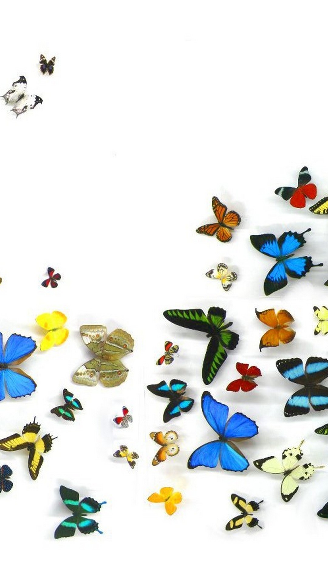 iPhone 7 Wallpaper Butterfly Design resolution 1080x1920