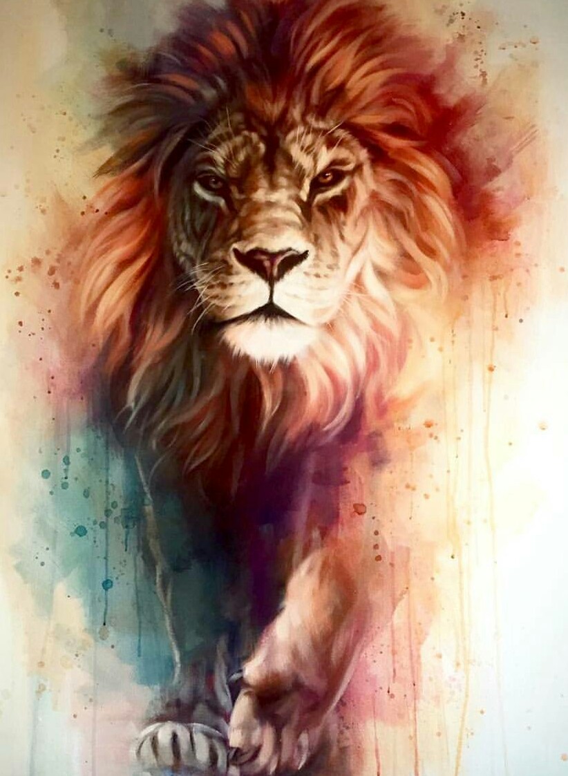 Lion Iphone Wallpaper Hd 21 3d Iphone Wallpaper