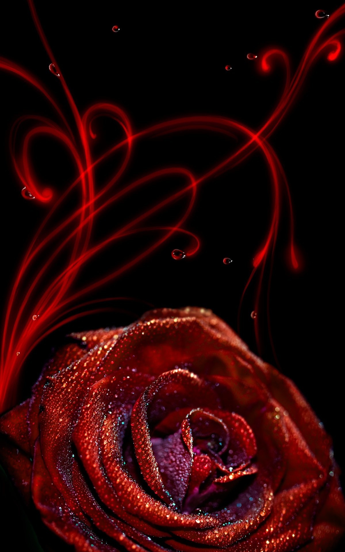 Rose Flower iPhone Wallpaper resolution 1200x1920
