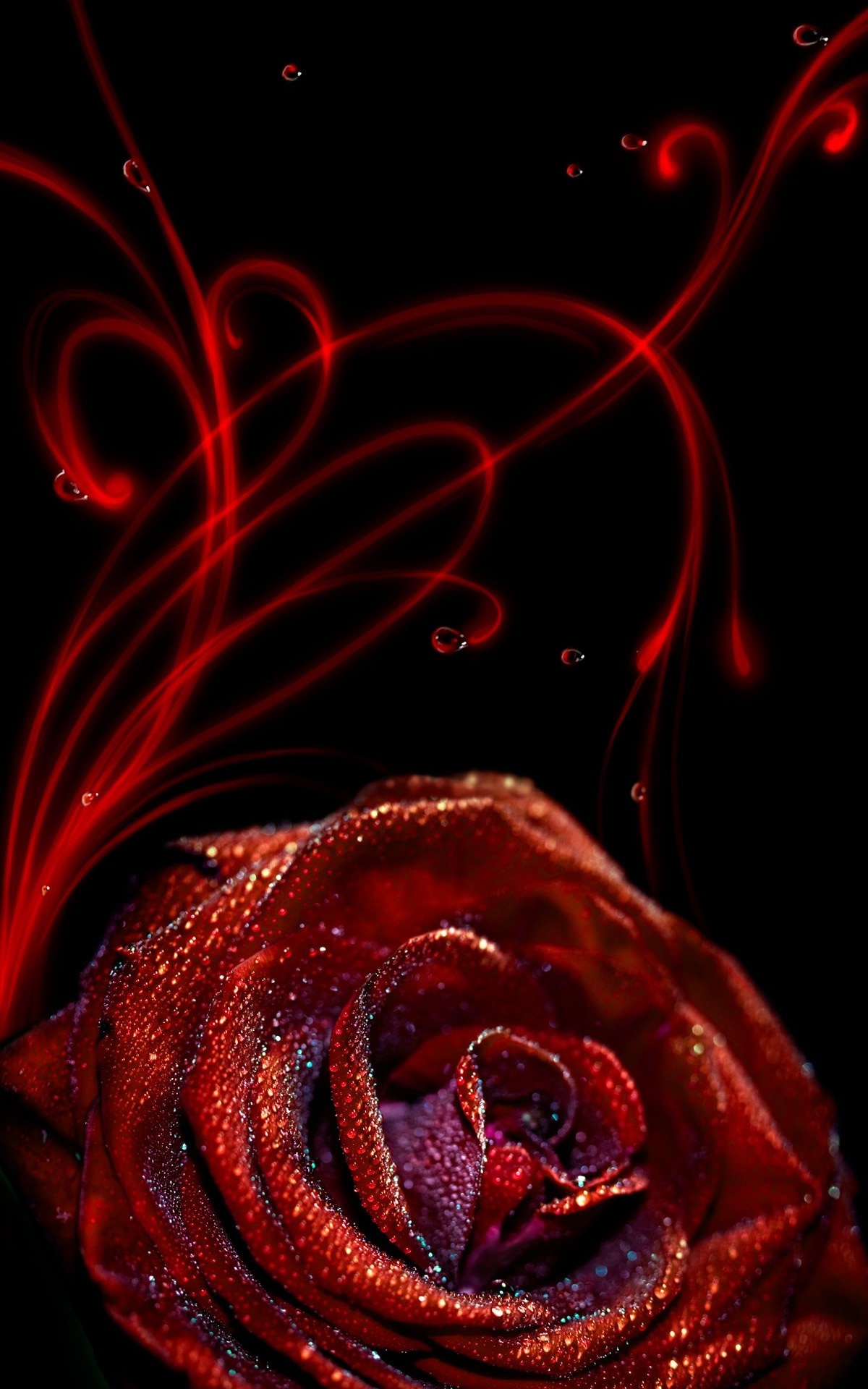 Rose Flower iPhone Wallpaper