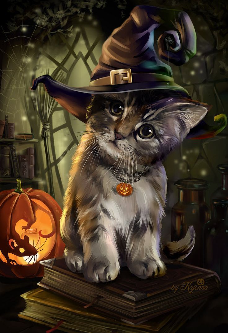 3D Cute Halloween Cat Wallpaper iPhone resolution 736x1075
