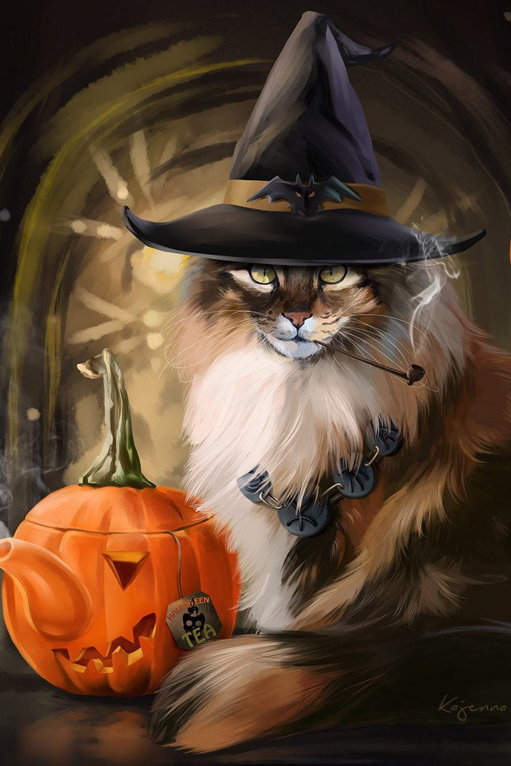 3D Halloween Cat Wallpaper iPhone