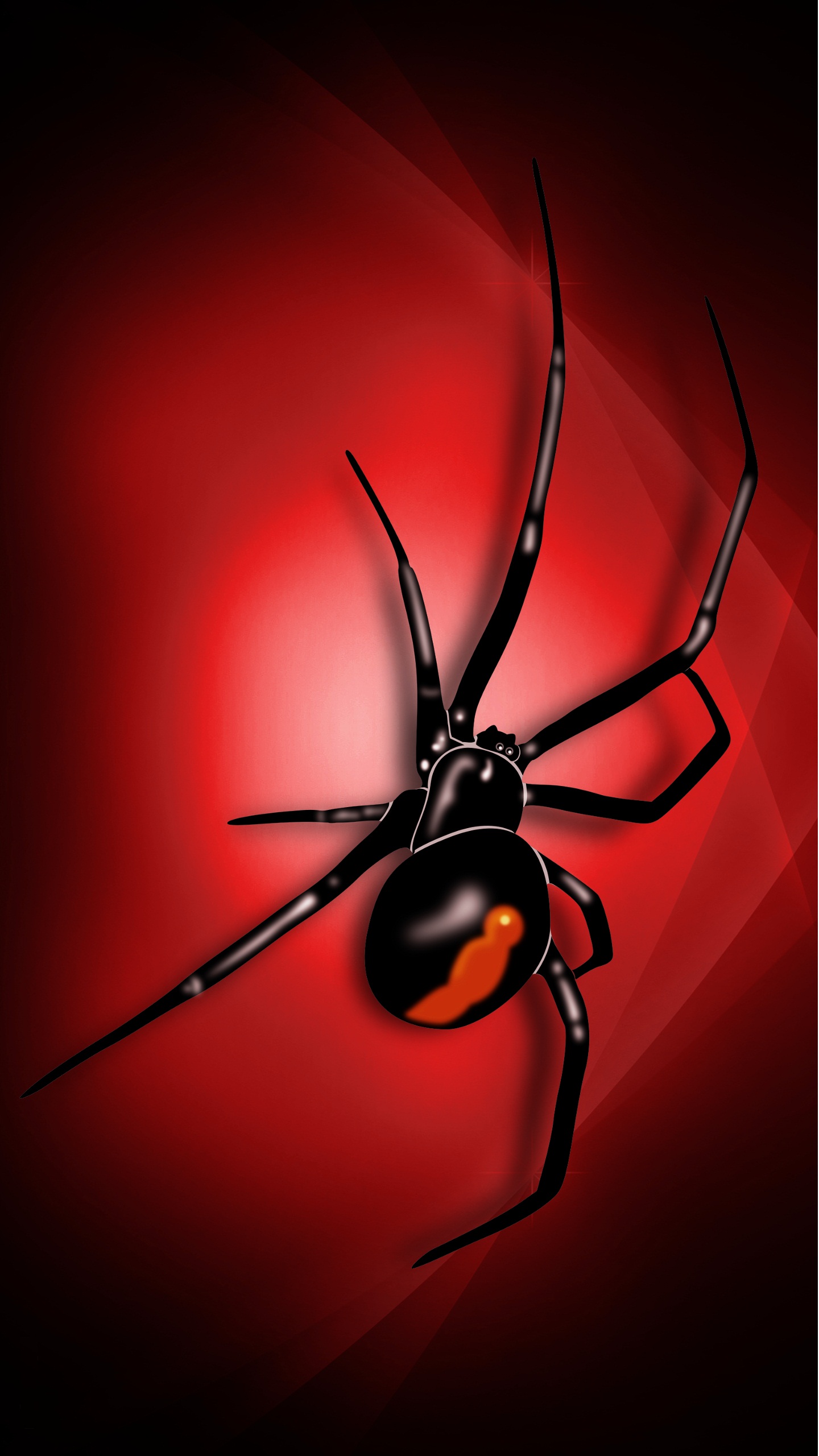 3D Spider Wallpaper iPhone 8 resolution 1440x2560