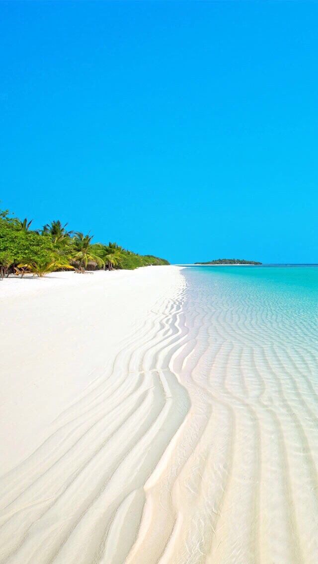 Beach White Sands iPhone Wallpaper