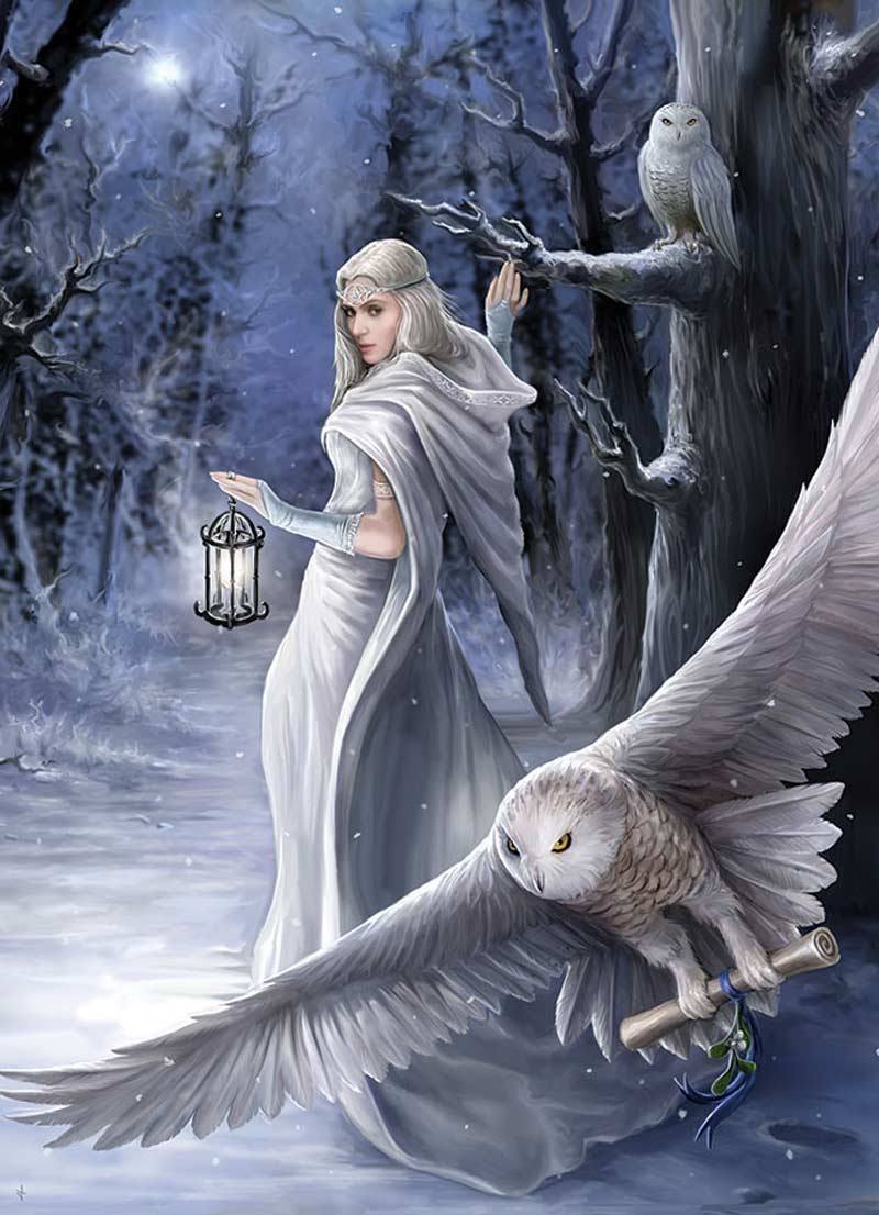 Beautiful Lady Owl Fantasy Wallpaper iPhone resolution 800x1106