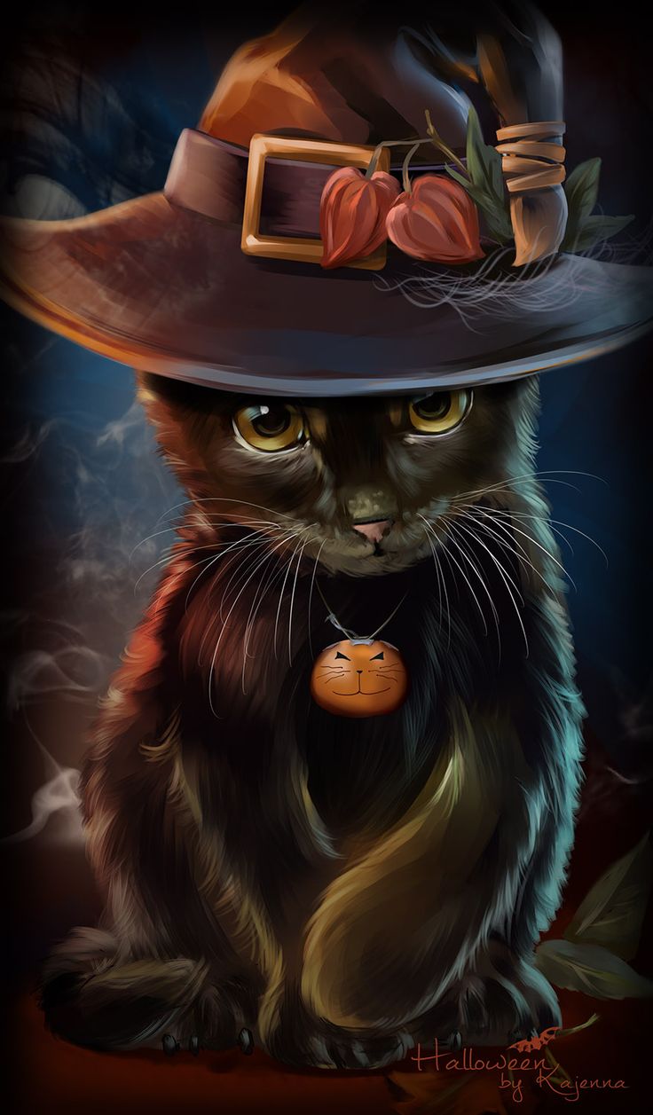 Black Halloween Cat Wallpaper iPhone resolution 736x1257