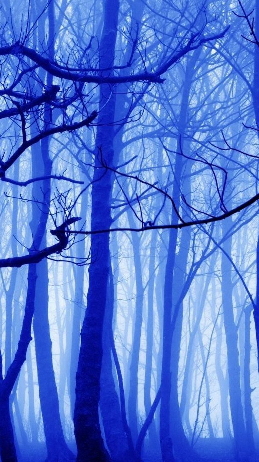 Blue Nature iPhone Wallpaper