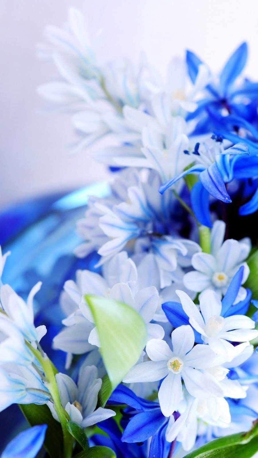 Blue White Flowers Wallpaper iPhone