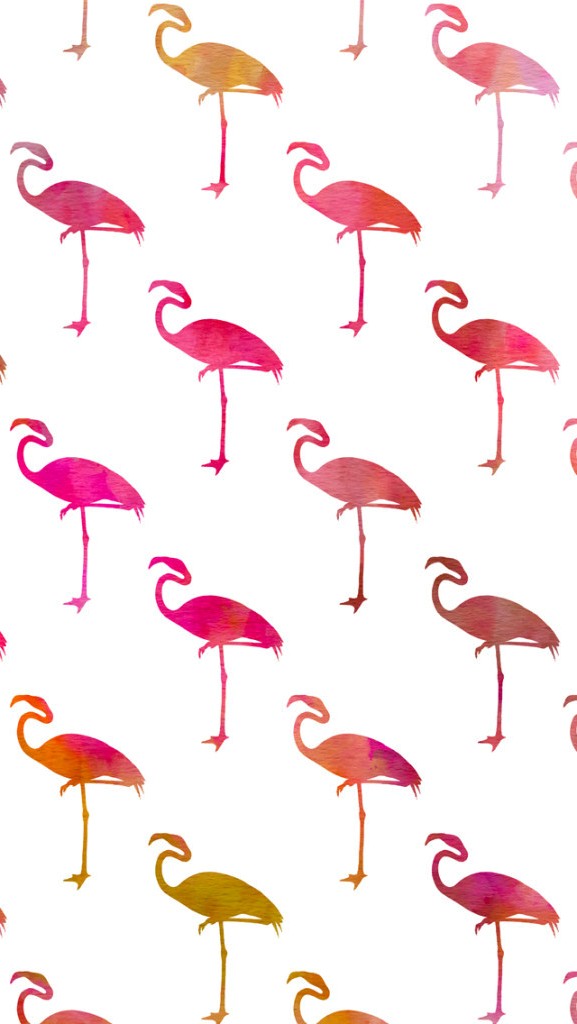 Flamingos Cute Wallpaper for iPhone