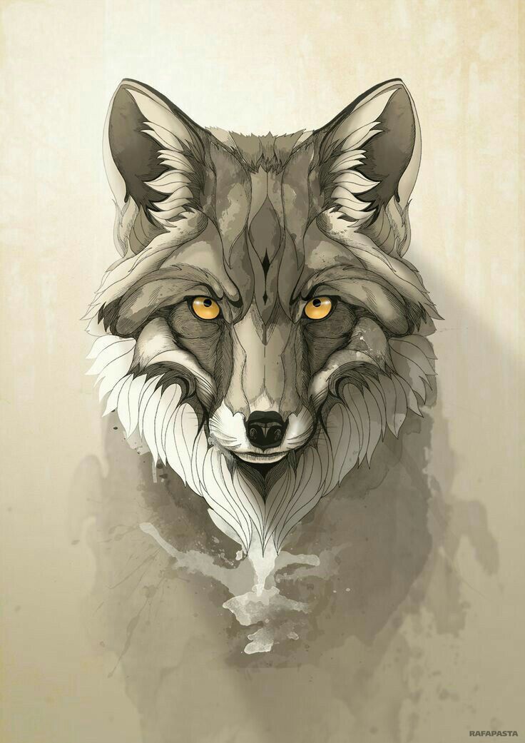 Fox Art Wallpaper resolution 736x1041