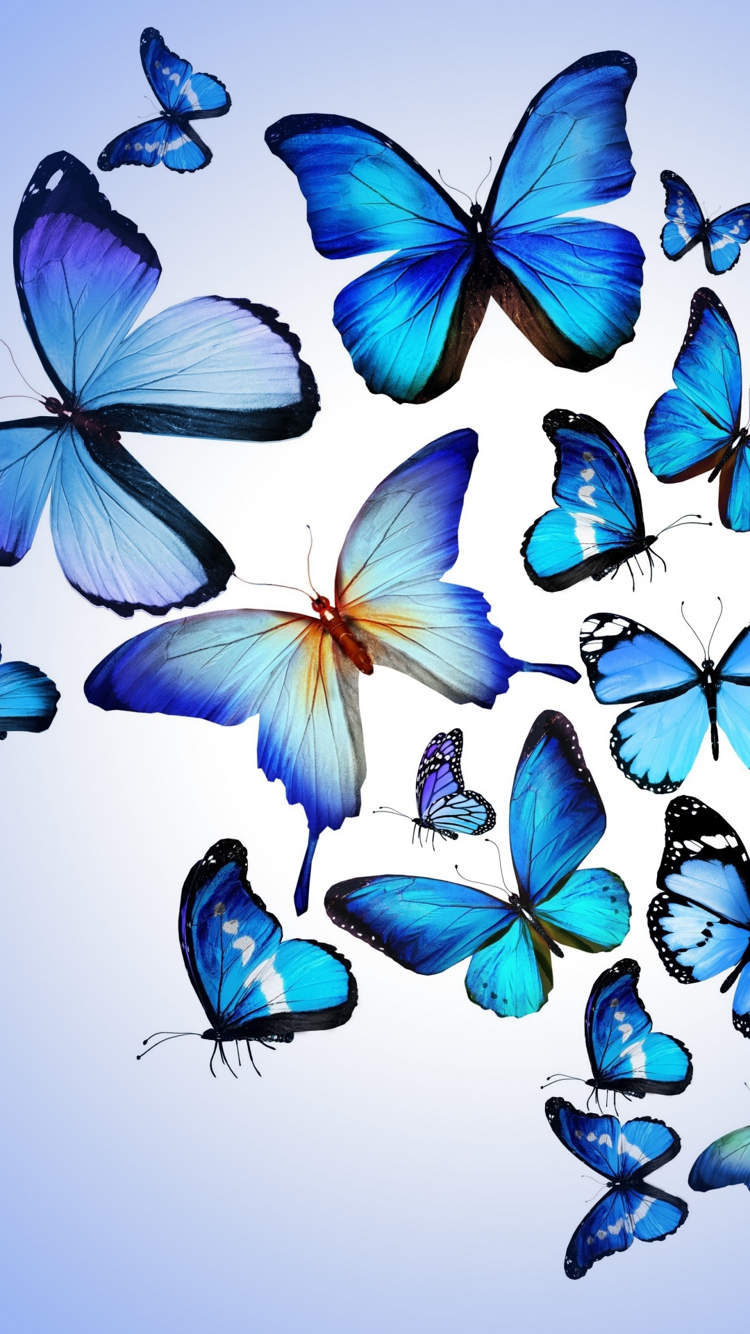 HD Blue Butterflies iPhone Wallpaper