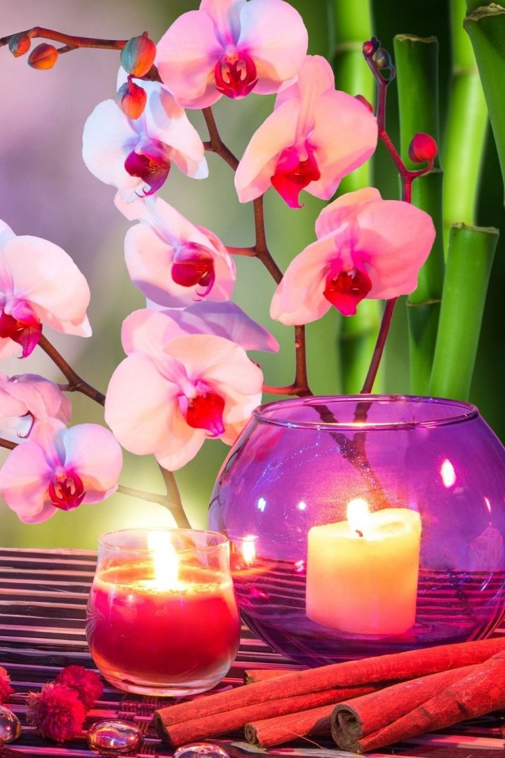 Orchids Candles Stones Wallpaper iPhone