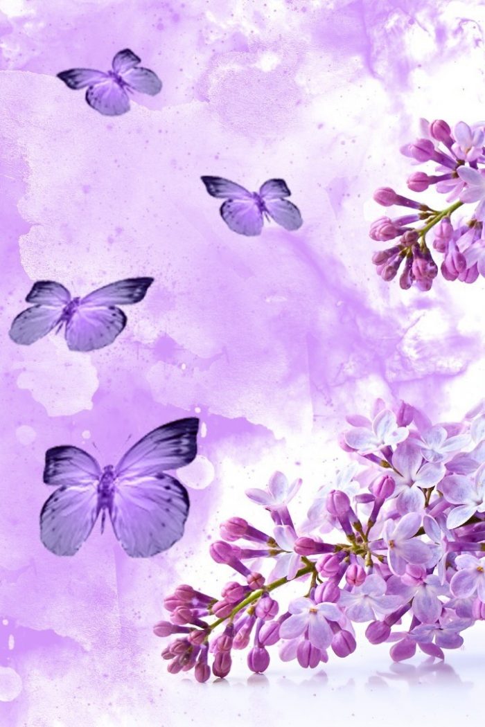 Purple Butterfly Wallpaper iPhone 3D iPhone Wallpaper 2022