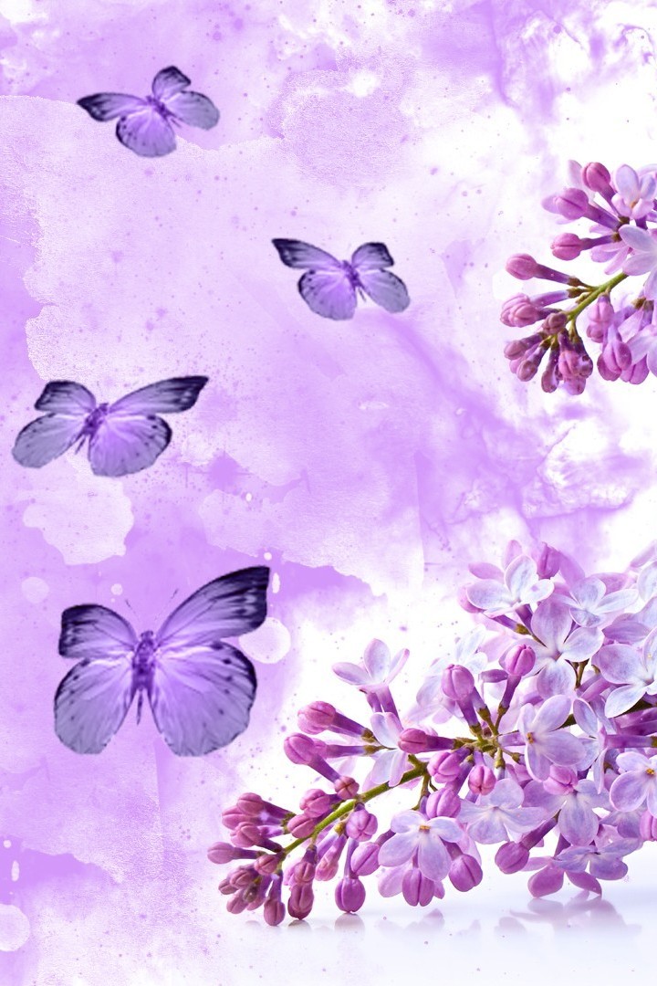 Purple Butterfly Wallpaper iPhone