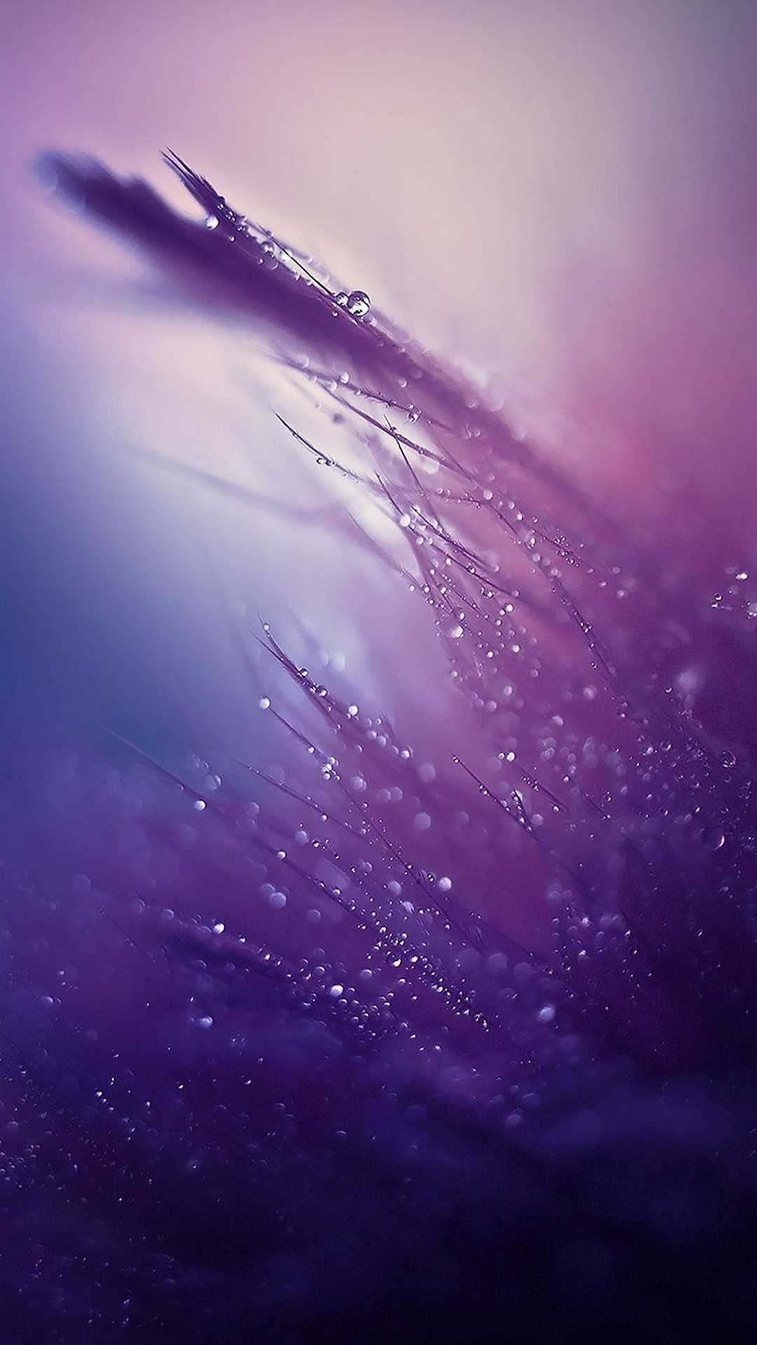 Purple Rain Wallpaper iPhone resolution 1080x1920