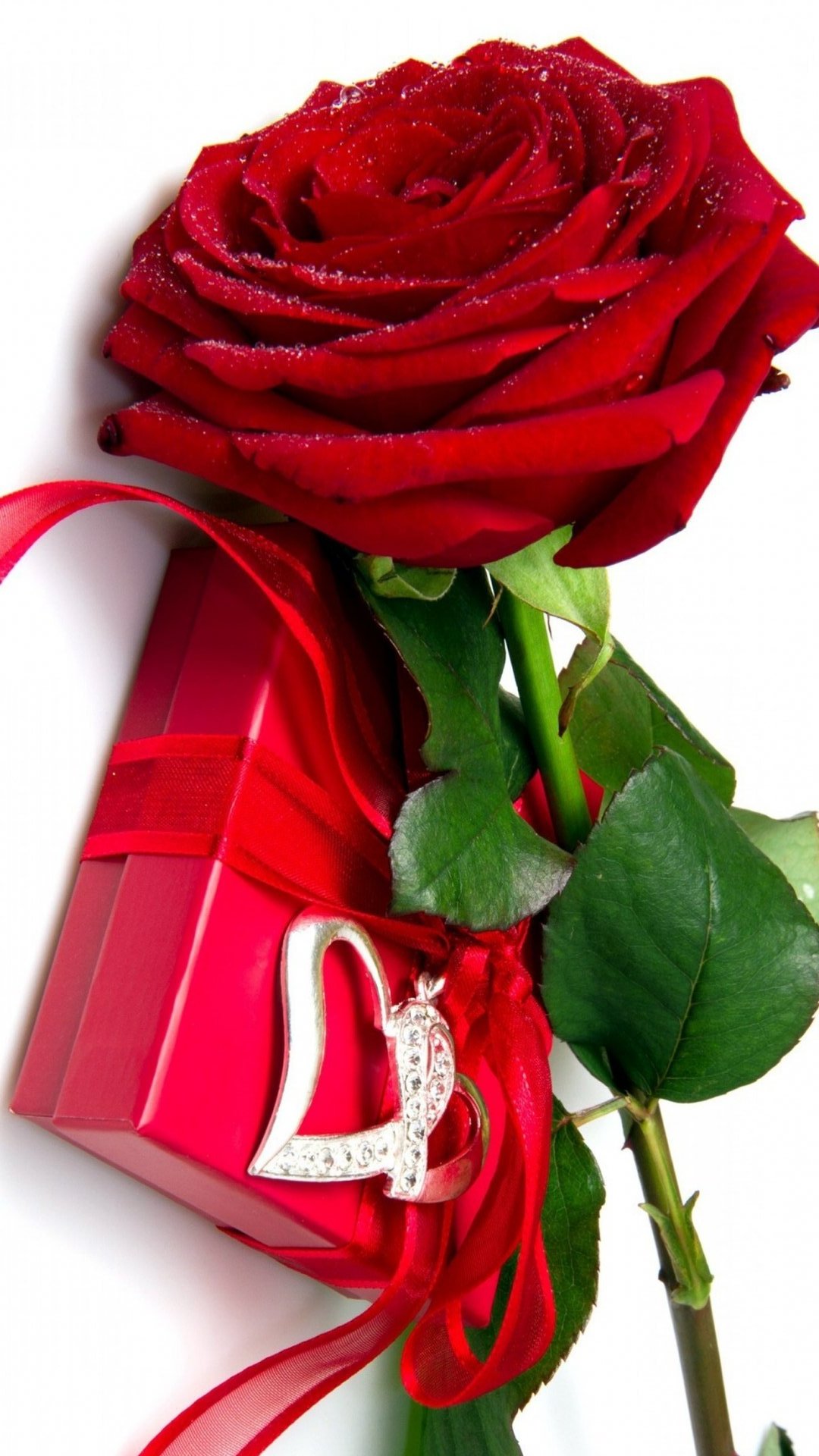 Red Rose Box Wallpaper iPhone