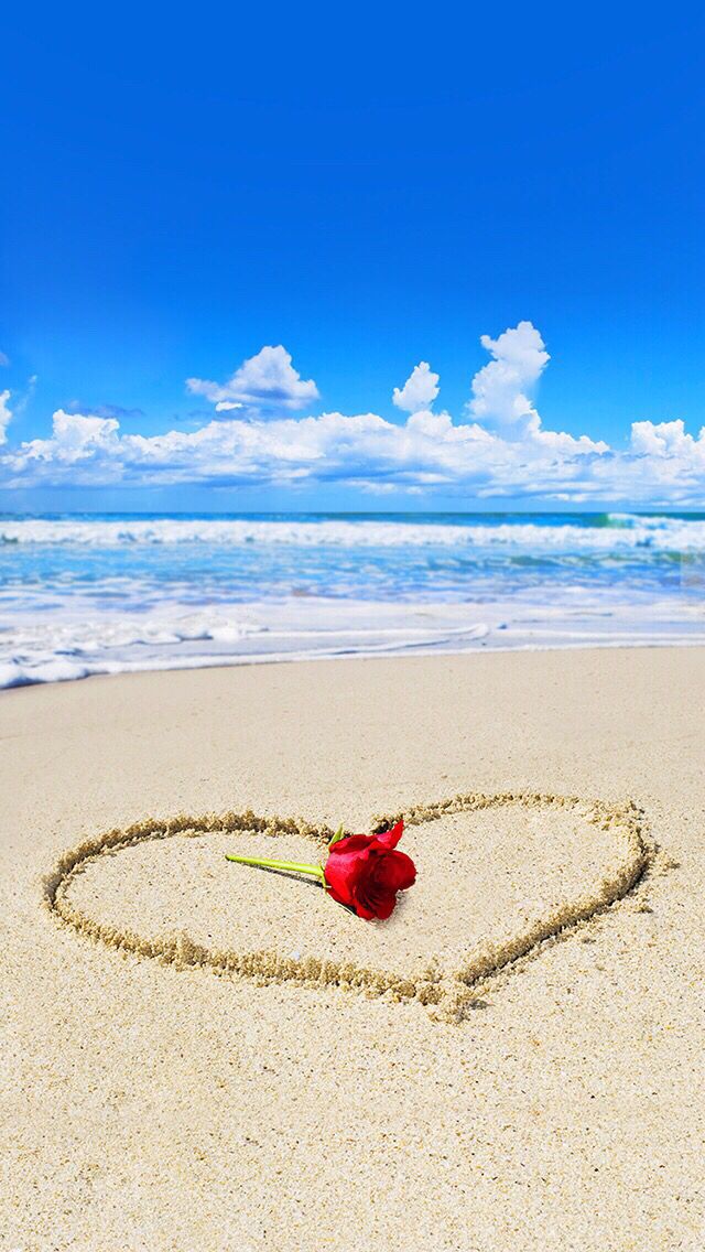 Rose Beach Wallpaper Phone | 2020 3D iPhone Wallpaper