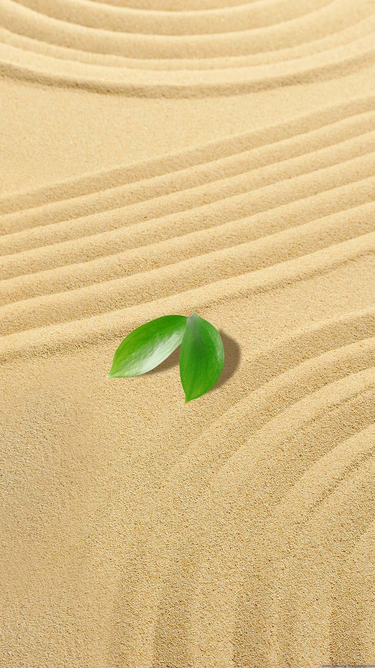 Sand iPhone Background