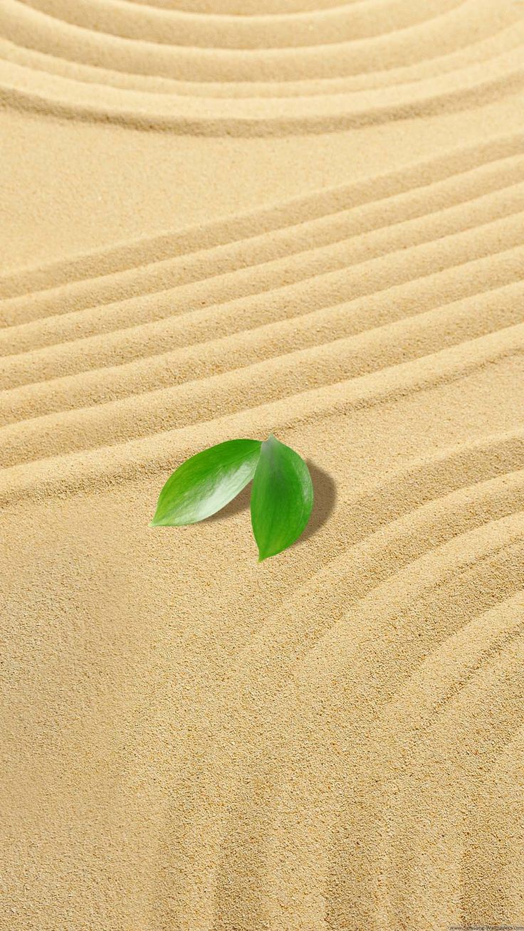 Sand iPhone Background resolution 736x1308