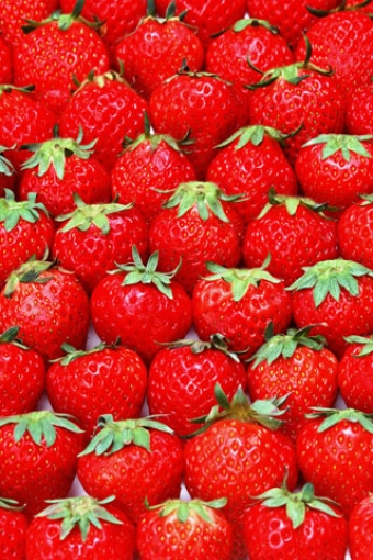 Strawberry iPhone Wallpaper