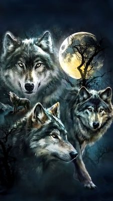 Wolf Wallpaper For iPhone