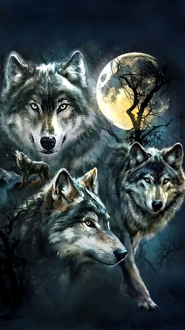 Wolf Wallpaper For iPhone | 3D iPhone Wallpaper 2022