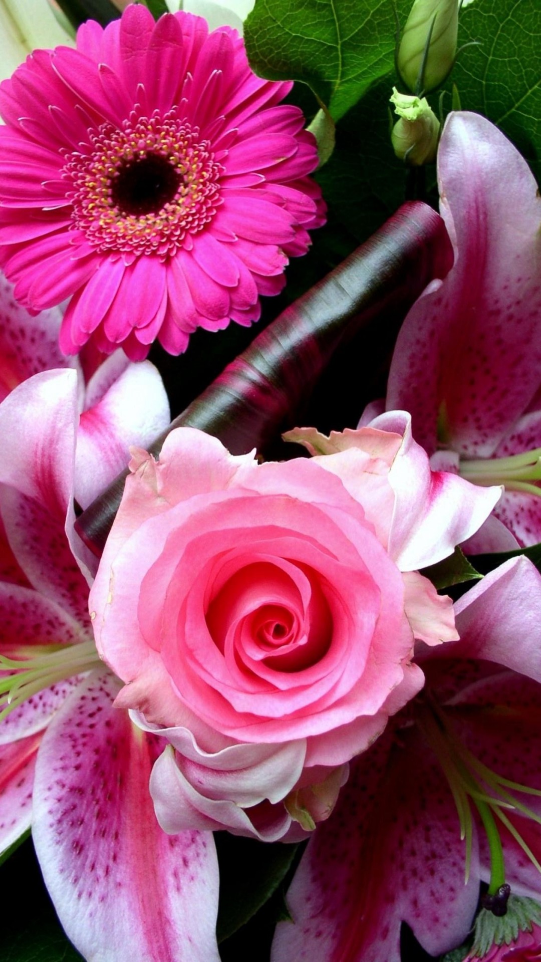 iPhone Wallpaper Pink Rose Flower resolution 1080x1920