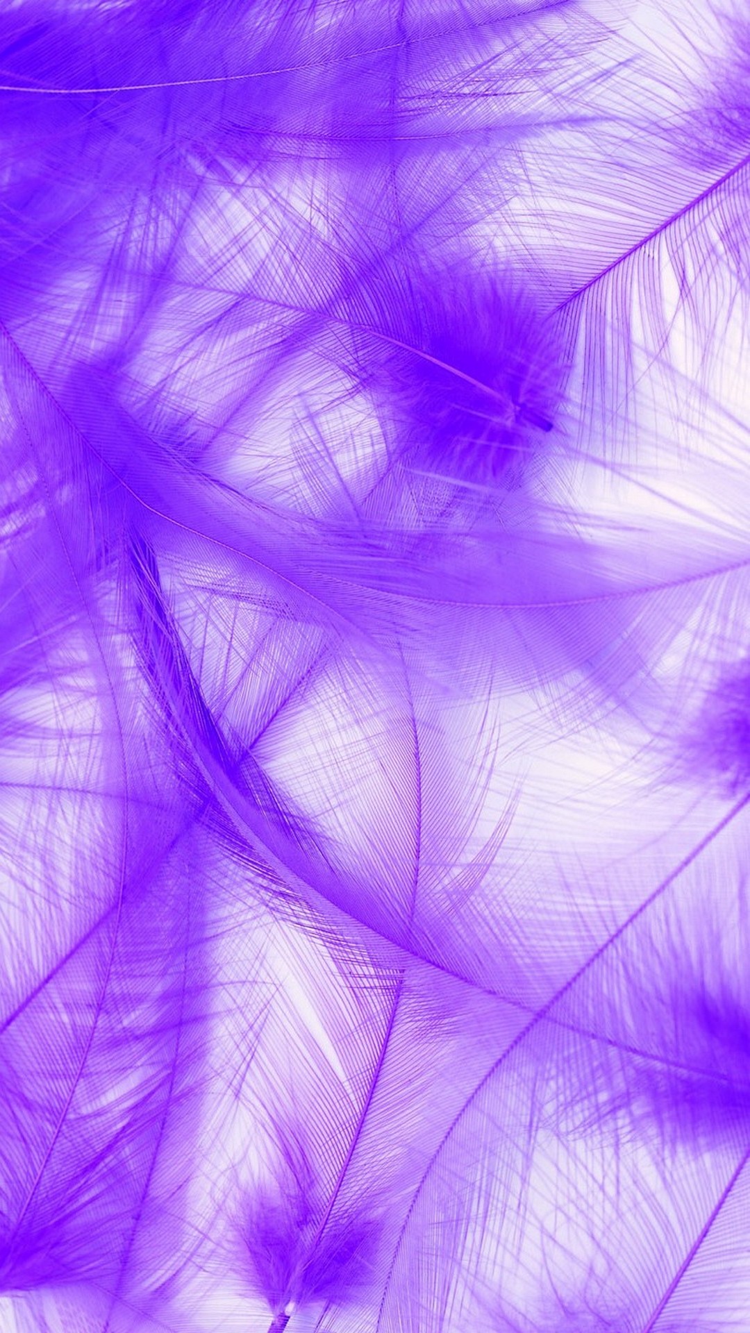 Purple Feather iPhone Wallpaper