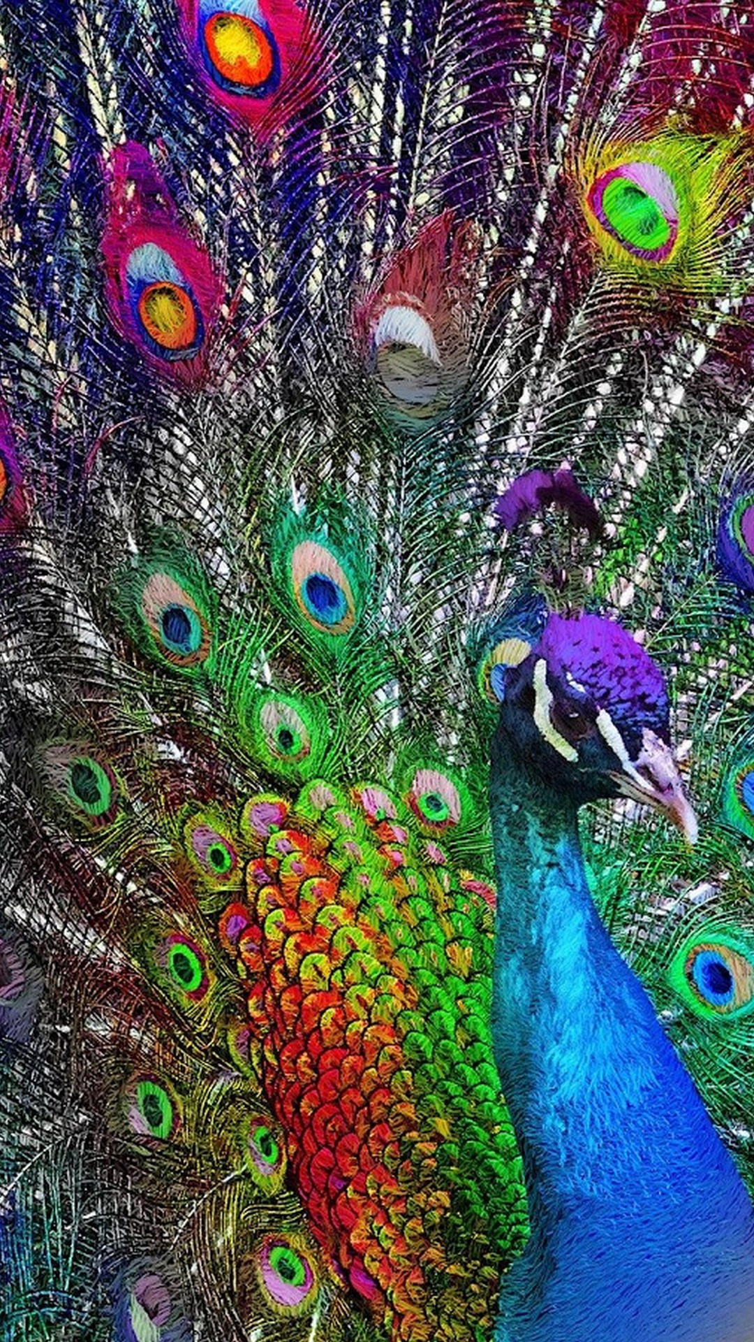 Purple Peacock Wallpaper For iPhone | 2021 3D iPhone Wallpaper