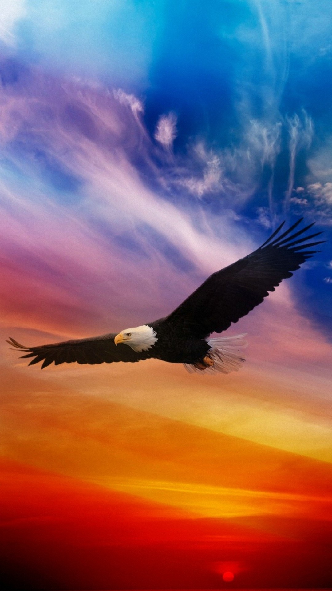 Eagle Wallpaper iPhone HD resolution 1080x1920