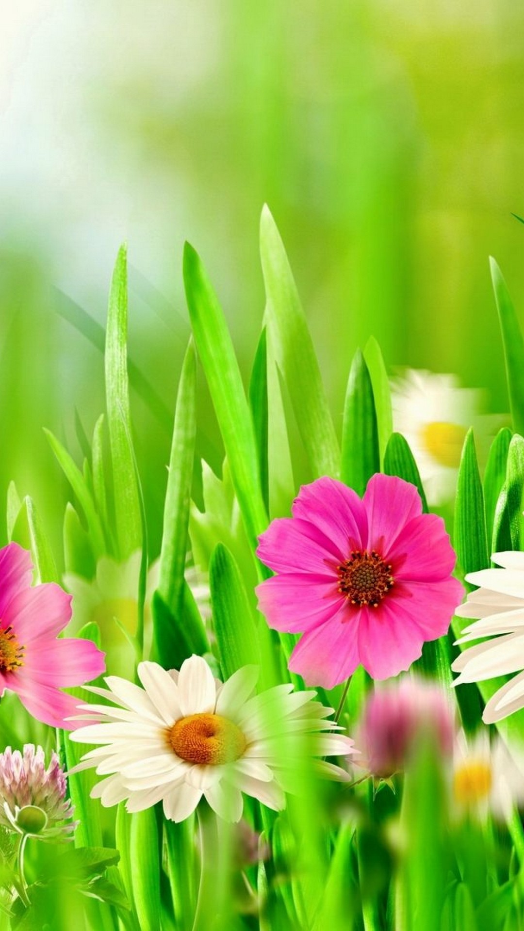 iPhone Wallpaper Spring Flowers with HD Resolution 1080X1920