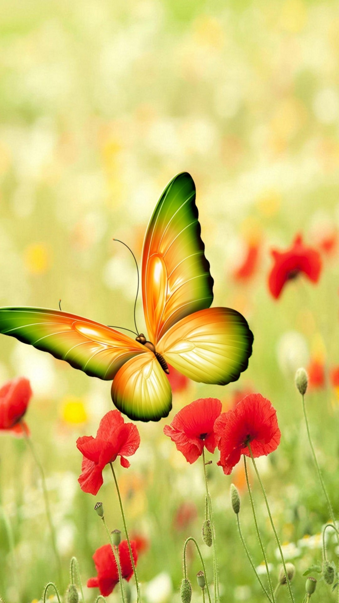 Butterfly iPhone Wallpaper resolution 1080x1920