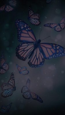 Cute Butterfly Wallpaper iPhone with HD Resolution 1080X1920