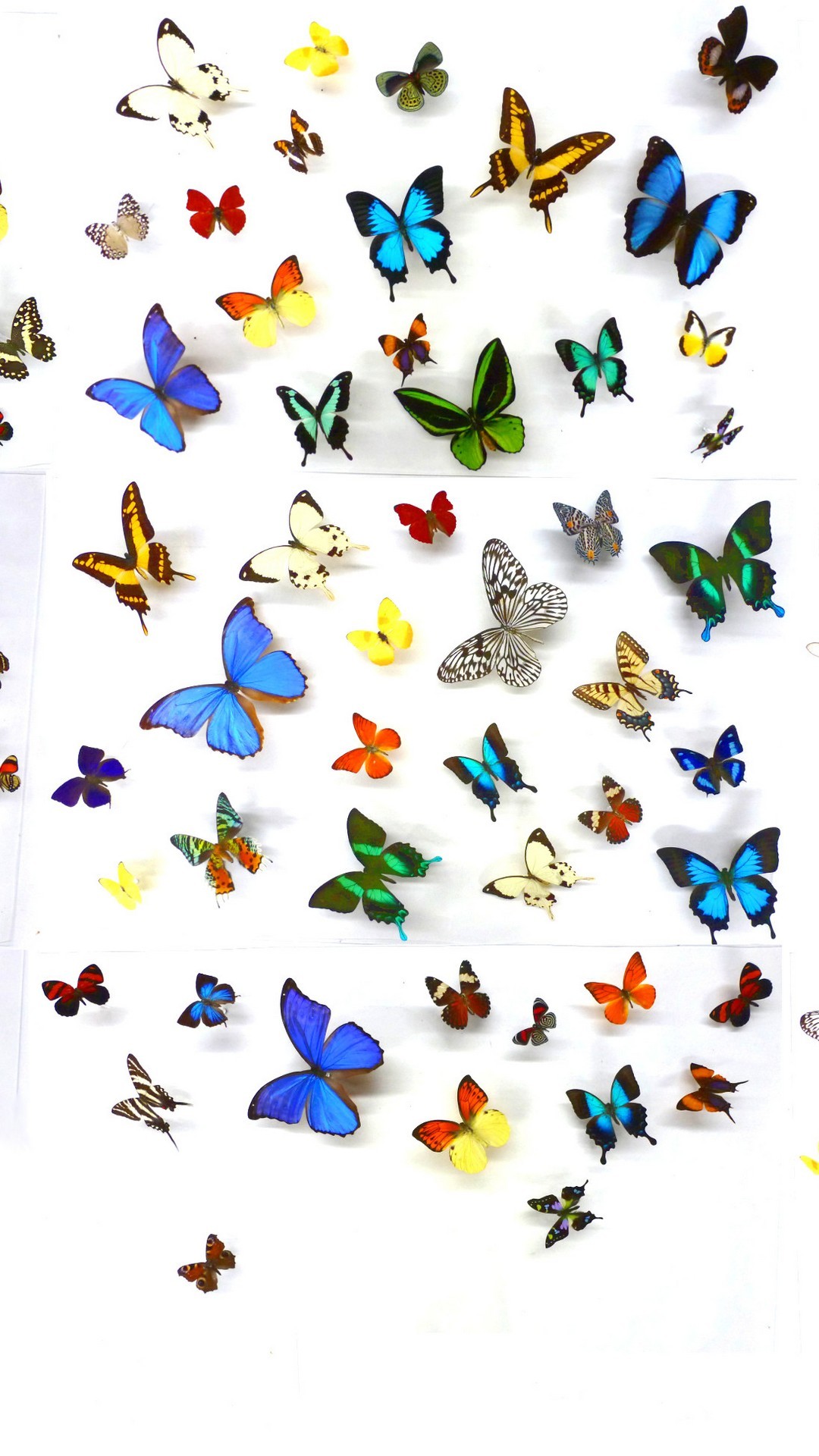 Wallpaper iPhone Butterfly Design resolution 1080x1920