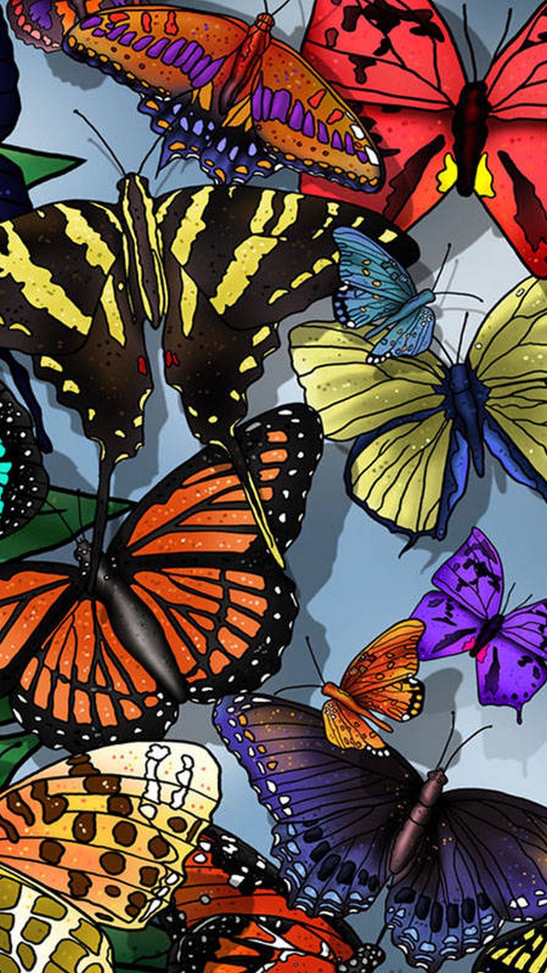iPhone Wallpaper Butterfly resolution 1080x1920