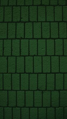 Dark Green Wallpaper iPhone with resolution 1080X1920 pixel. You can make this wallpaper for your iPhone 5, 6, 7, 8, X backgrounds, Mobile Screensaver, or iPad Lock Screen