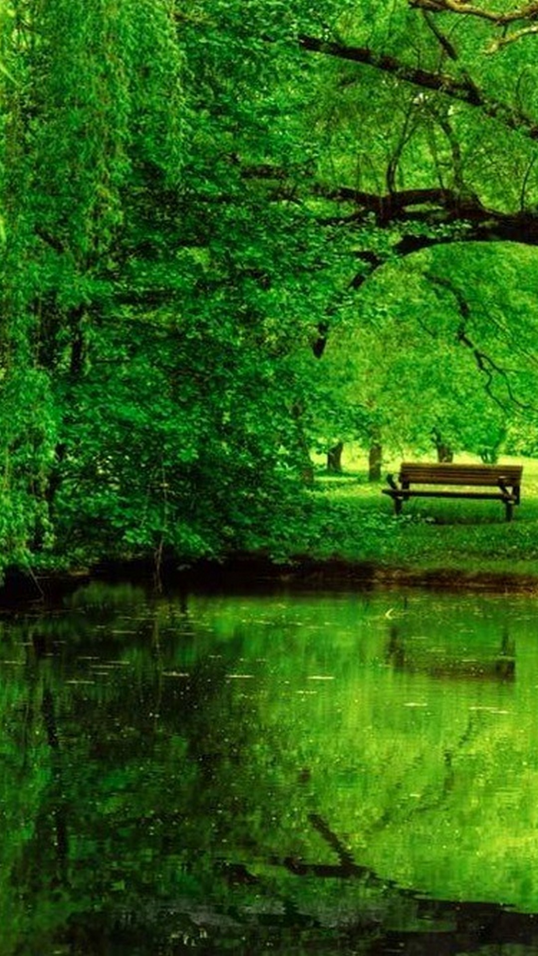  Wallpaper  Nature Green  iPhone  2021 3D iPhone  Wallpaper 