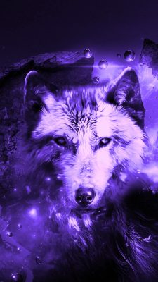 Cool Wolf iPhone X Wallpaper With high-resolution 1080X1920 pixel. You can use this wallpaper for your iPhone 5, 6, 7, 8, X, XS, XR backgrounds, Mobile Screensaver, or iPad Lock Screen