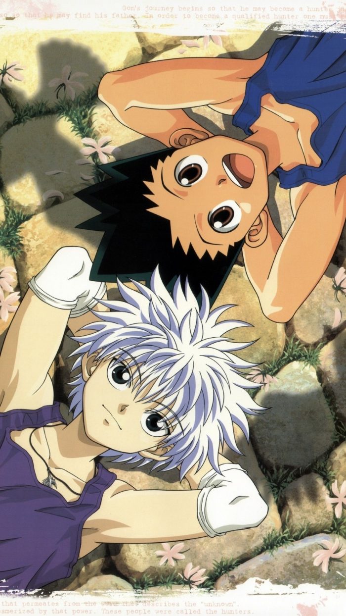 Wallpaper Gon And Killua for iPhone | 3D iPhone Wallpaper 2024