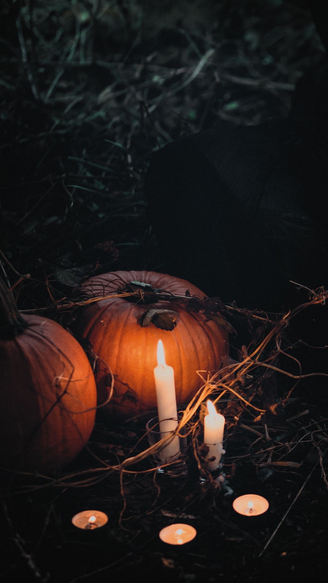 Grunge Halloween Aesthetic: Spooky and Stylish