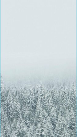Winter Aesthetic iPhone Wallpaper With high-resolution 1080X1920 pixel. You can use this wallpaper for your iPhone 5, 6, 7, 8, X, XS, XR backgrounds, Mobile Screensaver, or iPad Lock Screen